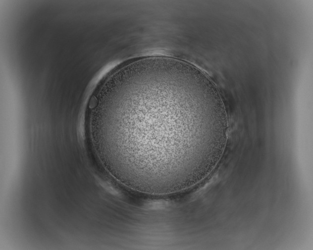 X0000110880200200906251255