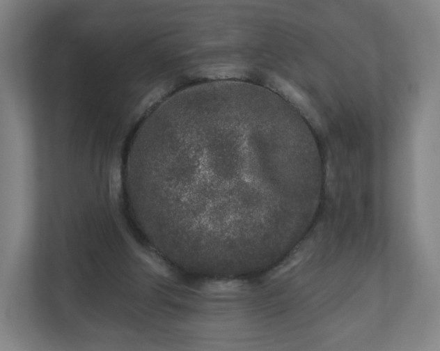 X0000110880202200906251255
