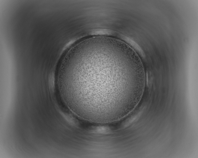 X0000110880204200906251255
