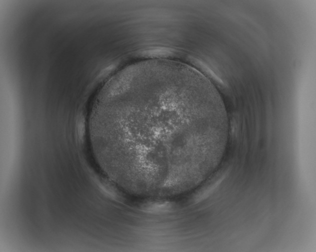 X0000110880206200906251255