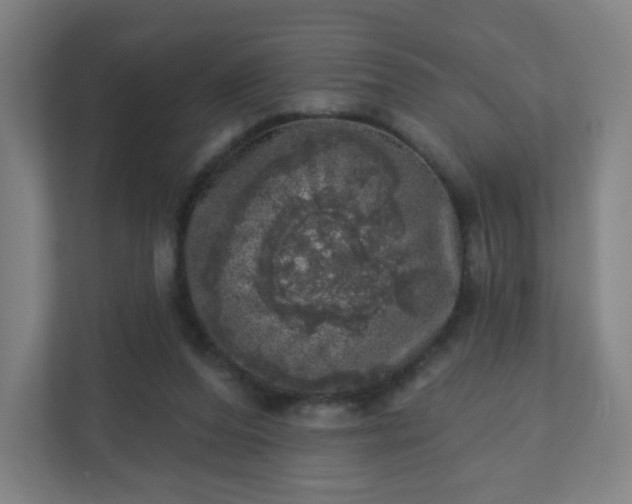 X0000110880208200906251255