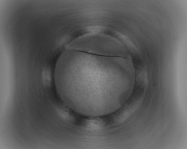 X0000110880215200906251255
