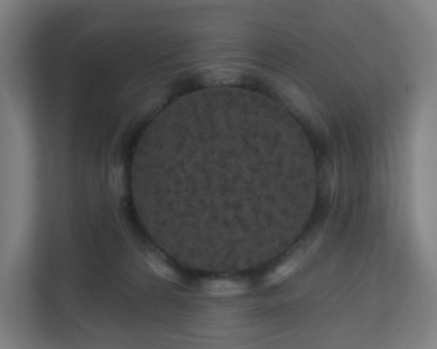 X0000110880224200906251255