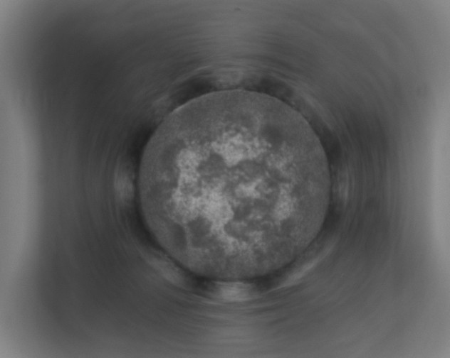 X0000110880226200906251255