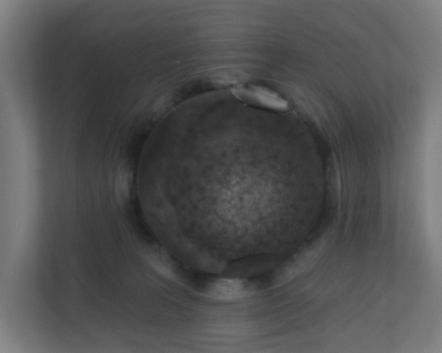 X0000110880227200906251255