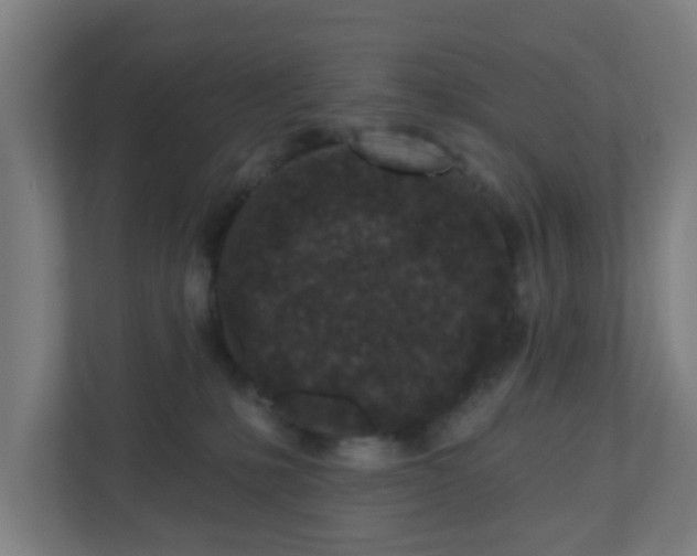 X0000110880231200906251255