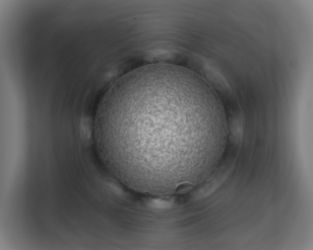 X0000110880232200906251255