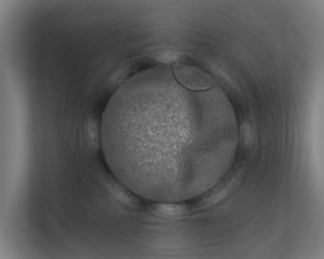 X0000110880234200906251255