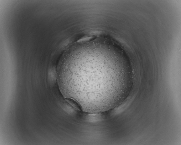 X0000110880240200906251255