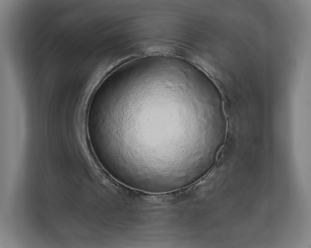 X0000110880241200906251254