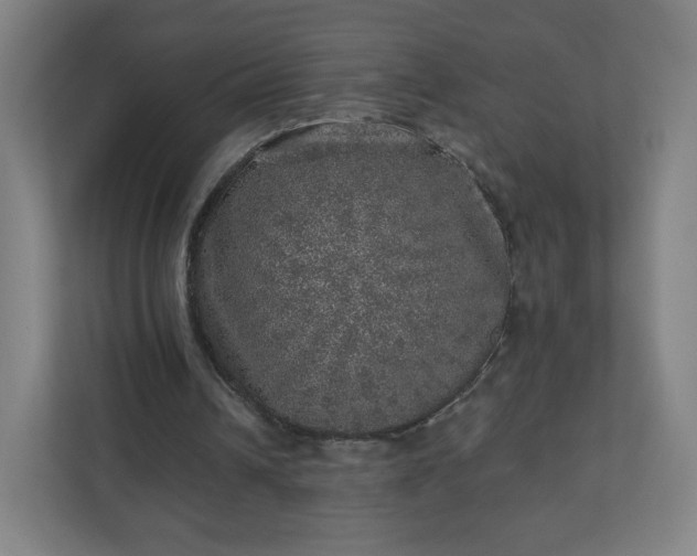 X0000110880242200906251254
