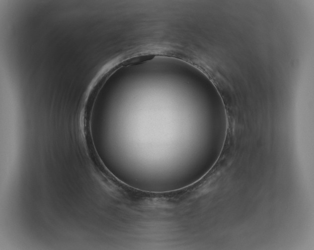 X0000110880244200906251254