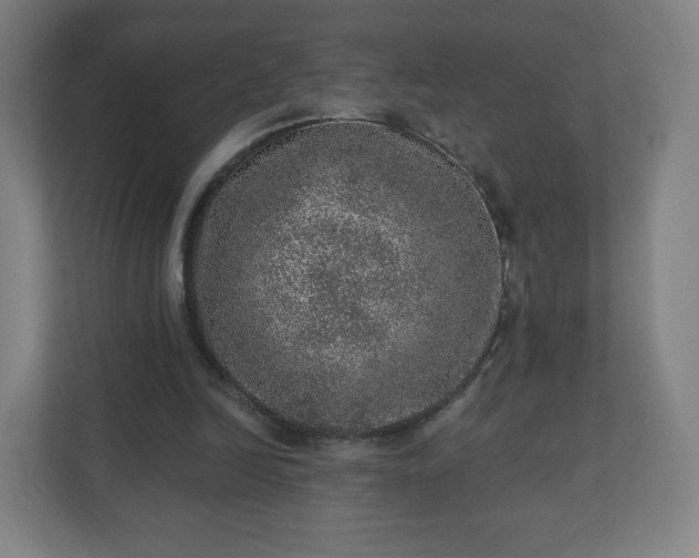 X0000110880246200906251254
