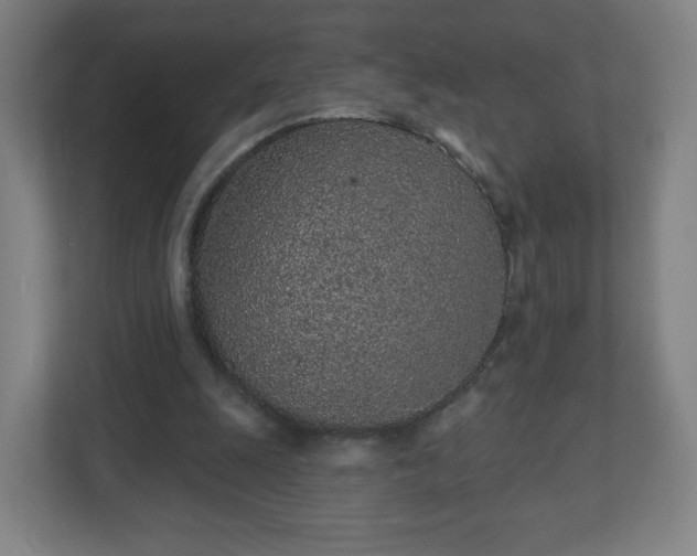 X0000110880247200906251254