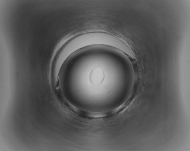 X0000110880248200906251254
