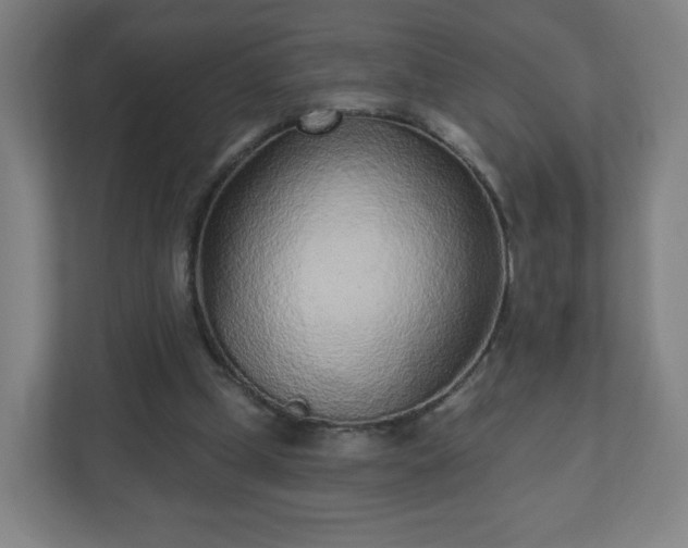 X0000110880249200906251254
