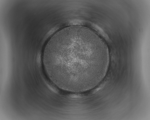 X0000110880250200906251254