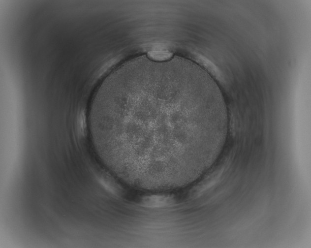 X0000110880251200906251254