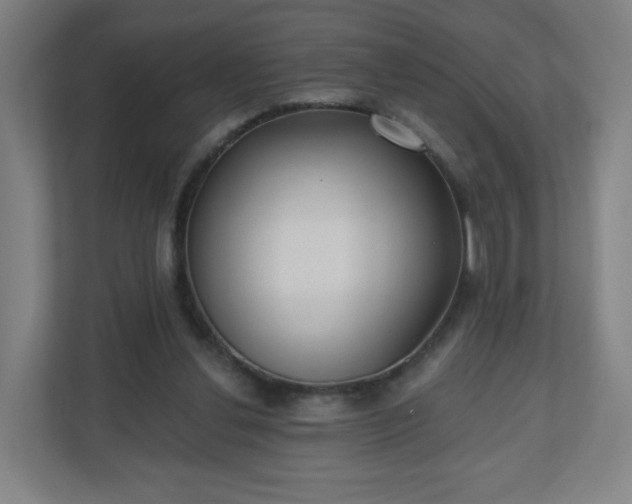 X0000110880252200906251254