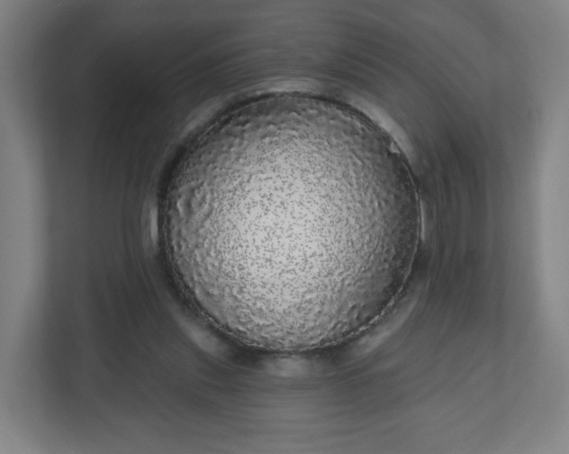 X0000110880253200906251254