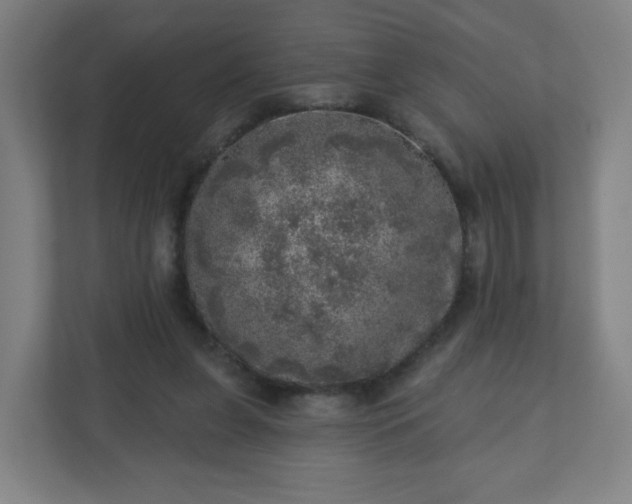 X0000110880255200906251254