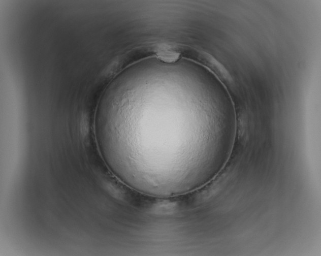 X0000110880257200906251254