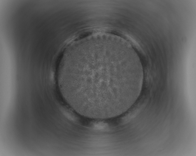X0000110880258200906251254