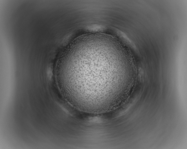 X0000110880259200906251254