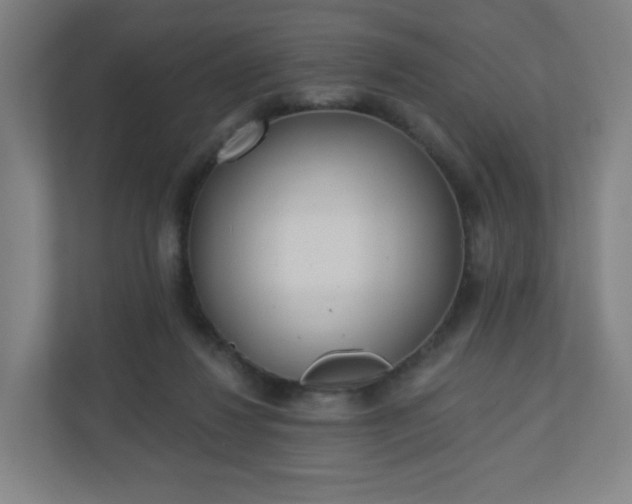 X0000110880260200906251254