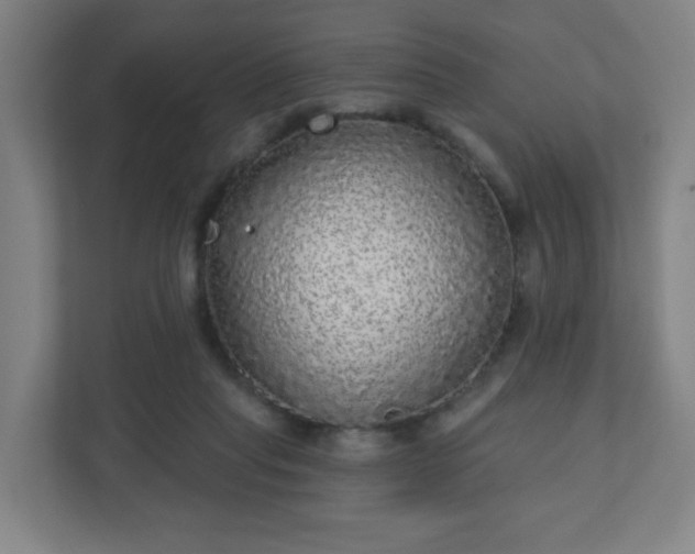X0000110880261200906251254