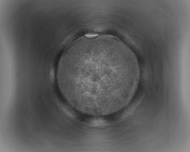 X0000110880262200906251254