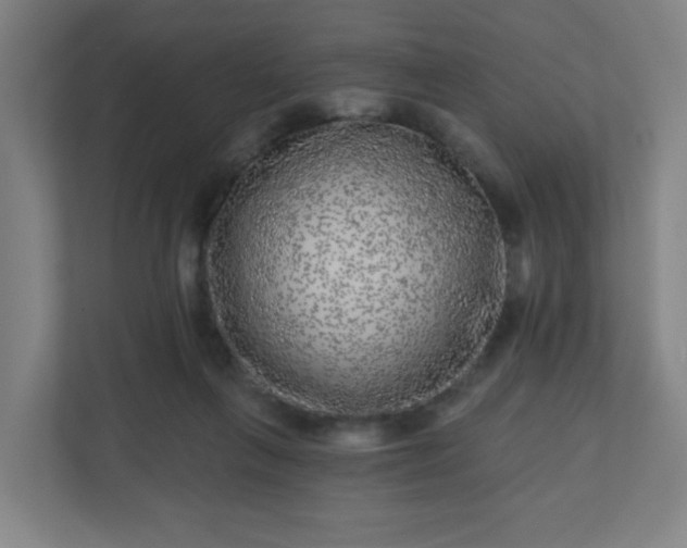 X0000110880263200906251254