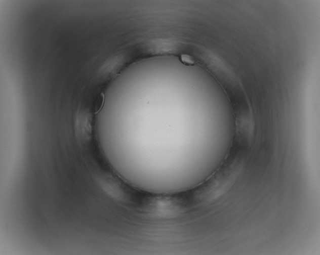 X0000110880264200906251254
