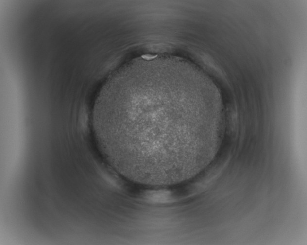 X0000110880266200906251254