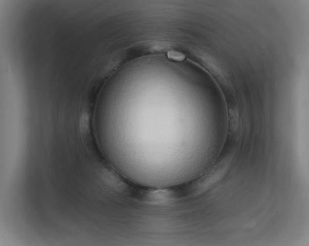 X0000110880269200906251254