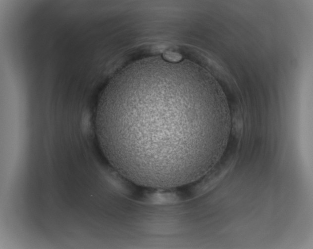 X0000110880270200906251255