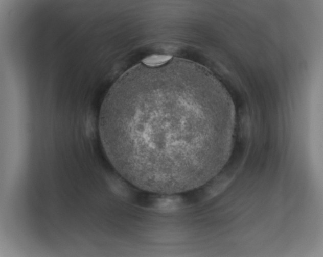 X0000110880274200906251255