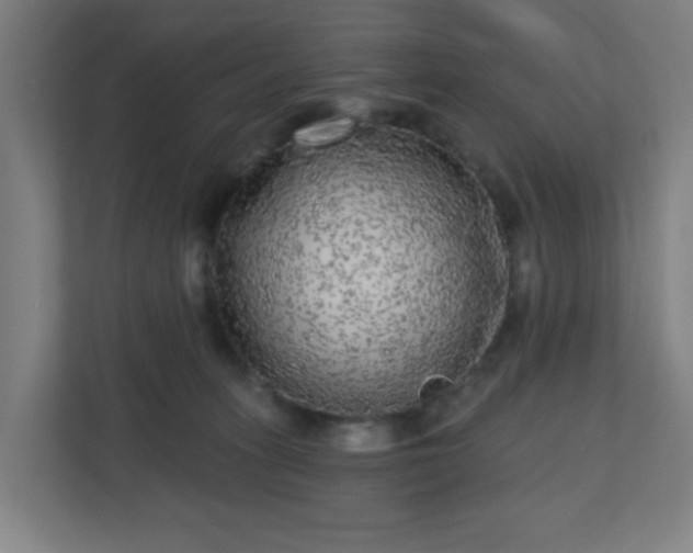X0000110880275200906251255