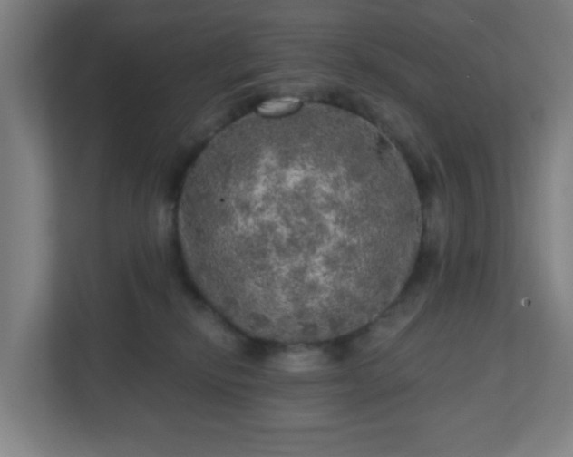 X0000110880278200906251255