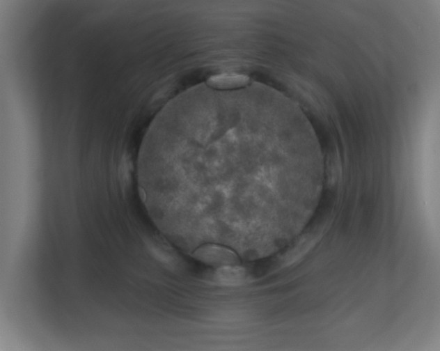 X0000110880279200906251255