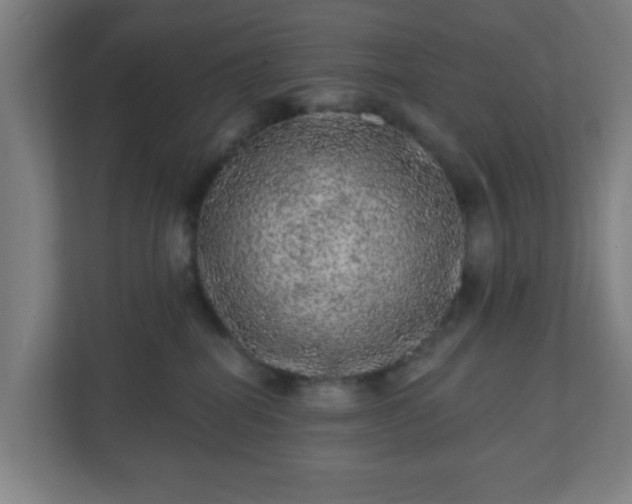 X0000110880282200906251255