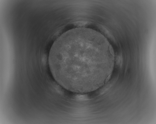 X0000110880283200906251255