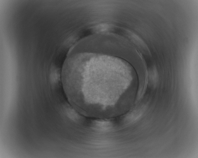 X0000110880284200906251255