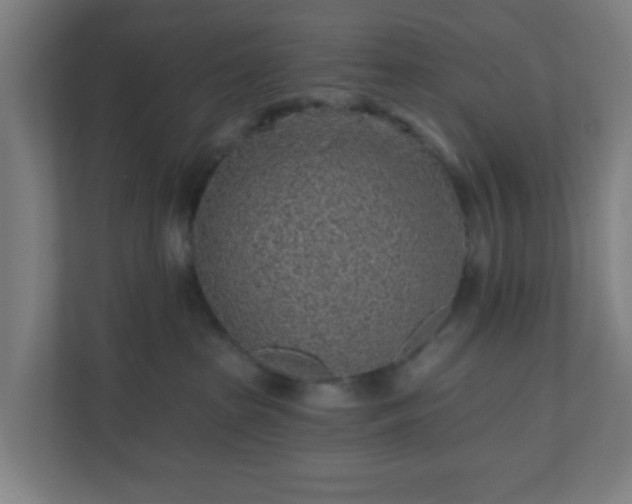 X0000110880285200906251255