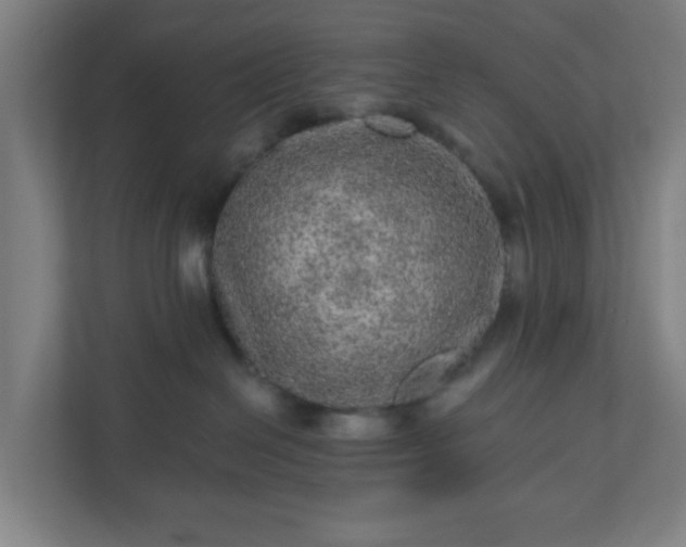 X0000110880286200906251255