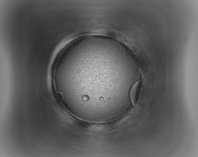 X0000110880294200906251254