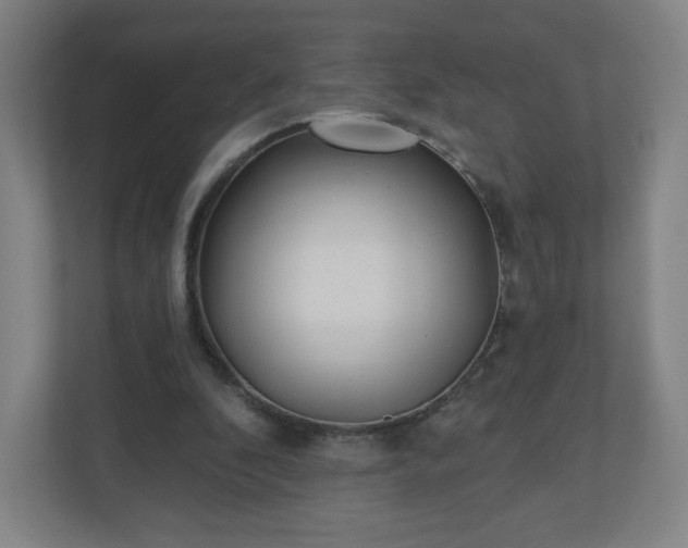 X0000110880296200906251254