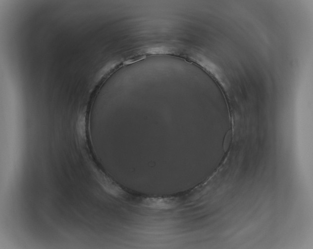 X0000110880297200906251254
