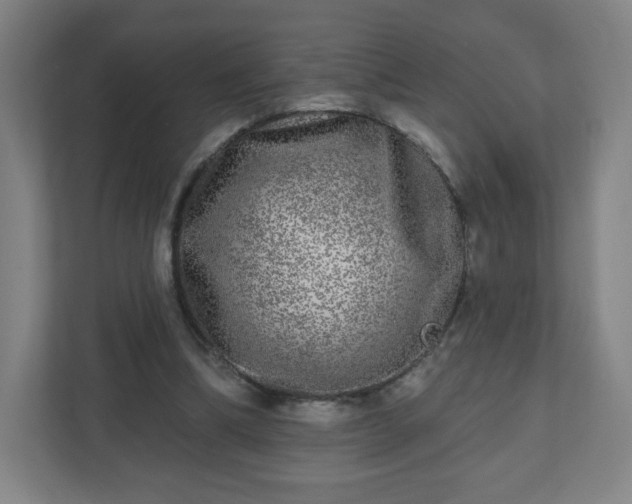 X0000110880298200906251254