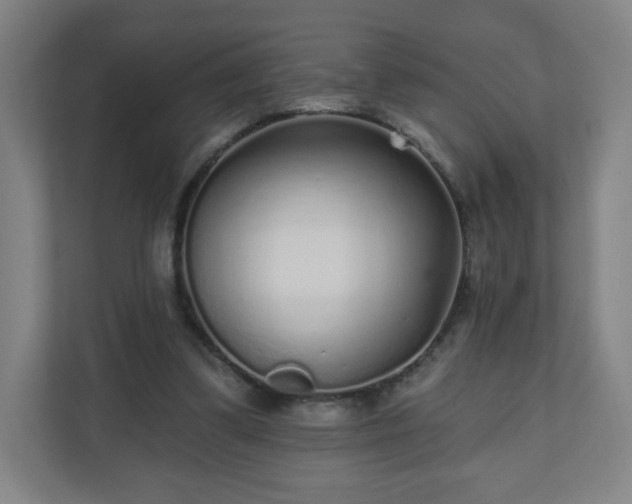 X0000110880299200906251254